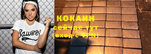 дмт Вяземский