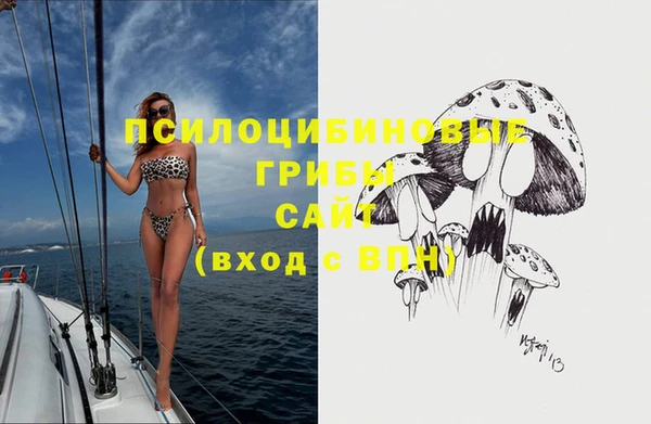 мдпв Вязники