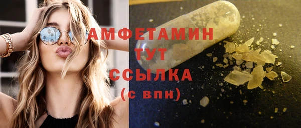 дмт Вяземский