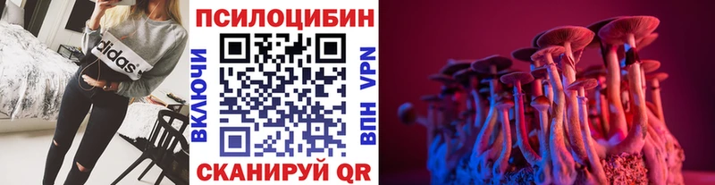 Купить  Тобольск  Галлюциногенные грибы Magic Shrooms 